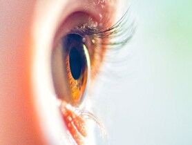 photo of Human dark brown eyes close-up