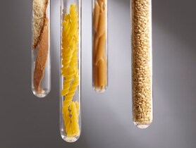 photo of Carbohydrate foods in test tubes