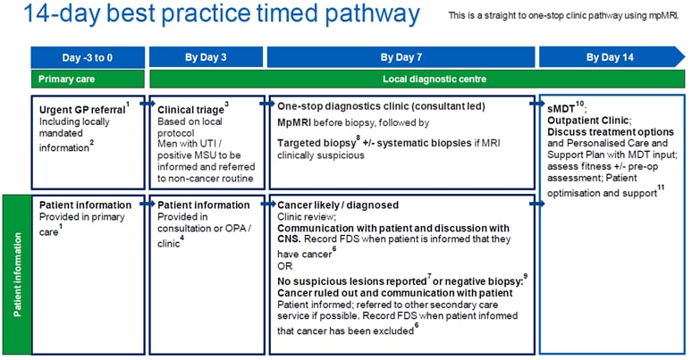 Prostate Cancer: Timed Diagnostic Pathway