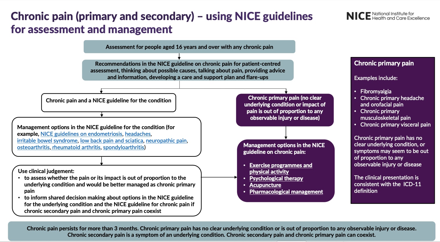 new-protocols-in-diagnosing-and-treating-non-specific-low-back-pain