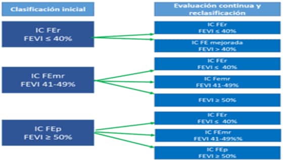 Figura 1. Nueva clasificación de la insuficiencia cardiaca según las guías AHA/ACC/HFSA 2022 sobre el manejo de la insuficiencia cardiaca. Extraída de: Turégano-Yedro M, et al. Disponible en:
<a href="https://semergen.es/files/images/gruposTrabajo/grupos/HTA/principalesNovedadesGuiasInsuficienciaCardiaca.pdf"><u>https://semergen.es/files/images/gruposTrabajo/grupos/HTA/principalesNovedadesGuiasInsuficienciaCardiaca.pdf</u></a>