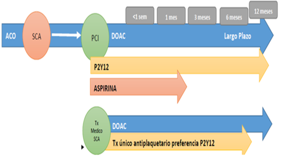 Figura 5. Simplificación del tratamiento con fibrilación auricular y síndrome coronario agudo o sometido a cateterismo primario. Modificado y adaptado de: Ortiz HIA, Couisirat M. Disponible en: https://www.siacardio.com/wp-content/uploads/2015/01/Guia-ESC-2020-Fibrilaci%C3%B3n-Auricular.pdf