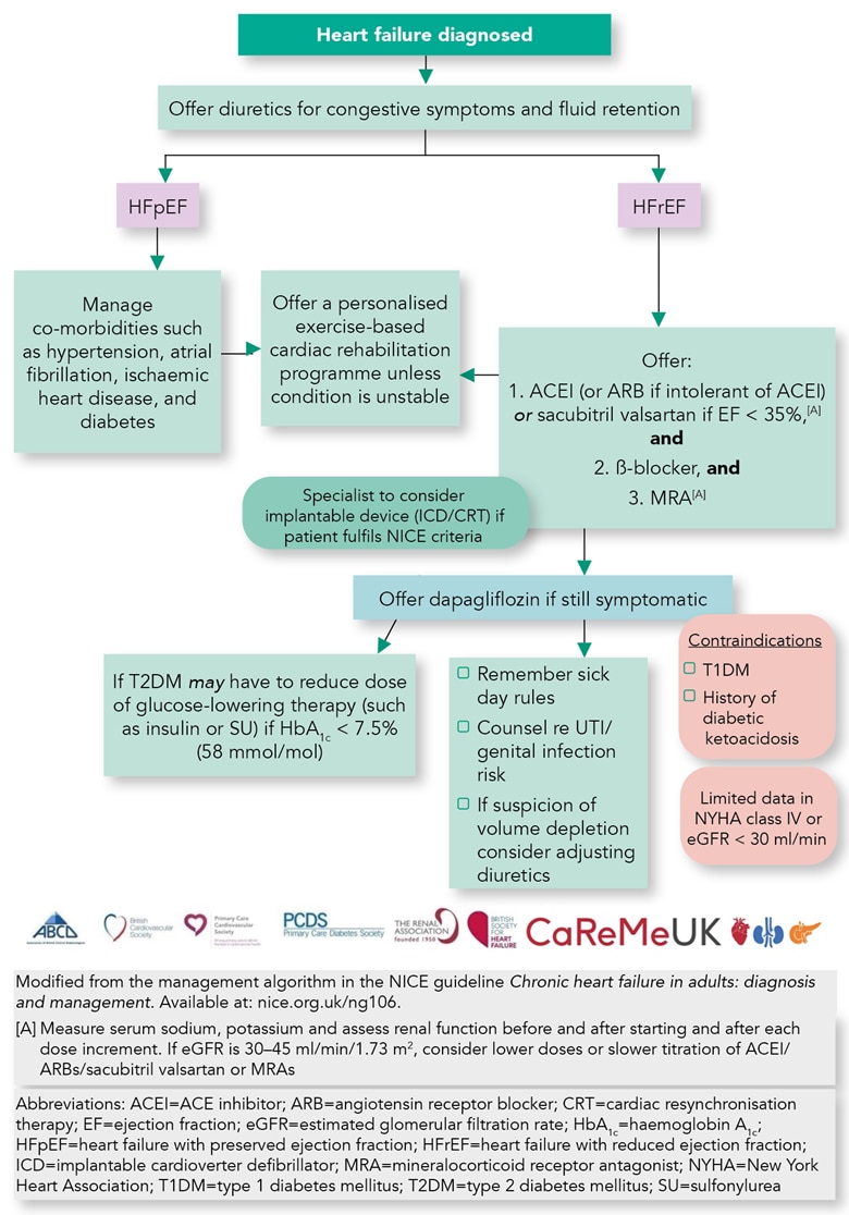 CaReMeUk Heart Failure Management Algorithm