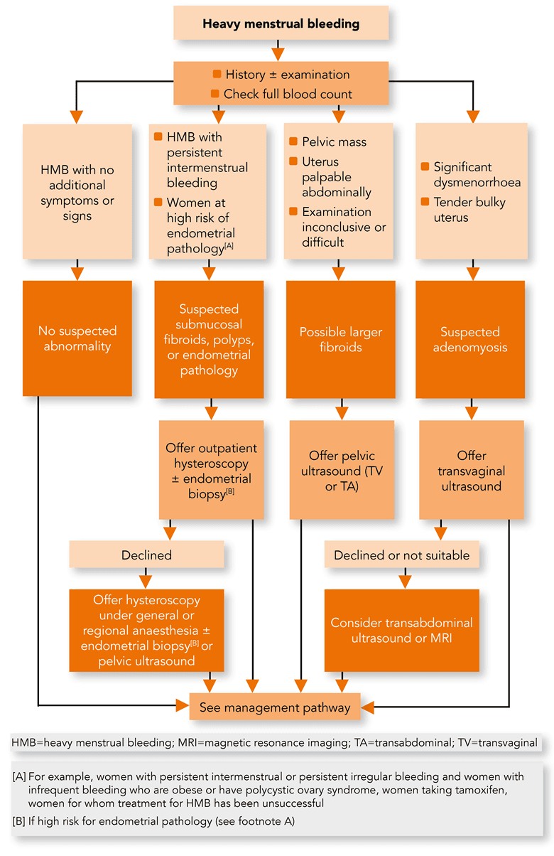 Heavy Menstrual Bleeding Assessment And Management NICE 2021 Heavy Menstrual Bleeding Assessment And Management NICE 2021