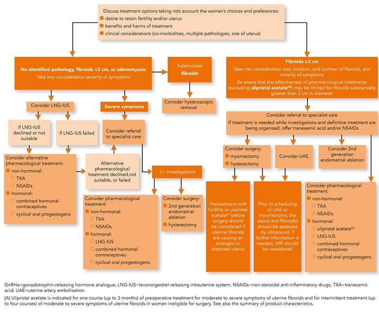 Abnormal Uterine Bleeding: A Management Algorithm